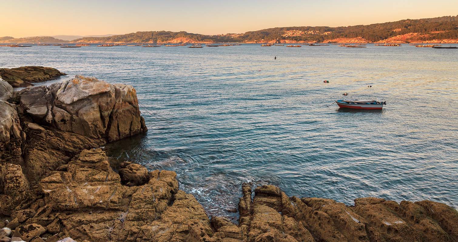 Biuro tłumaczeń w Vigo