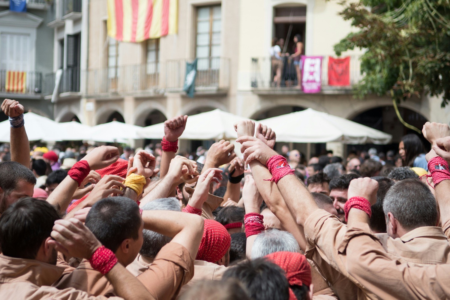 Professional Catalan–Spanish translator for businesses