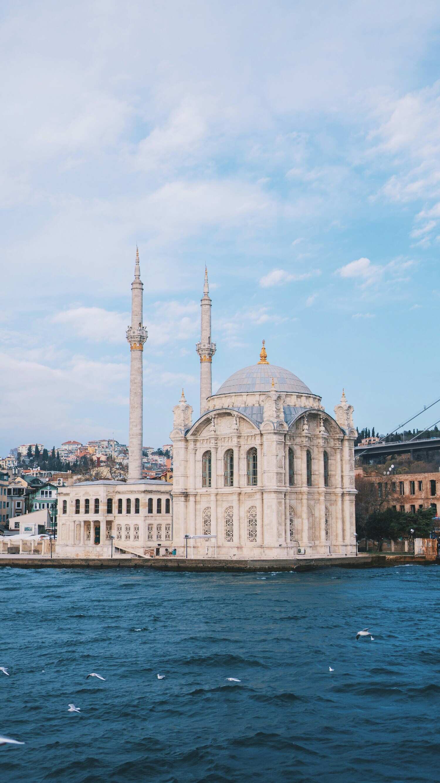 Proceso profesional de traducción turco español